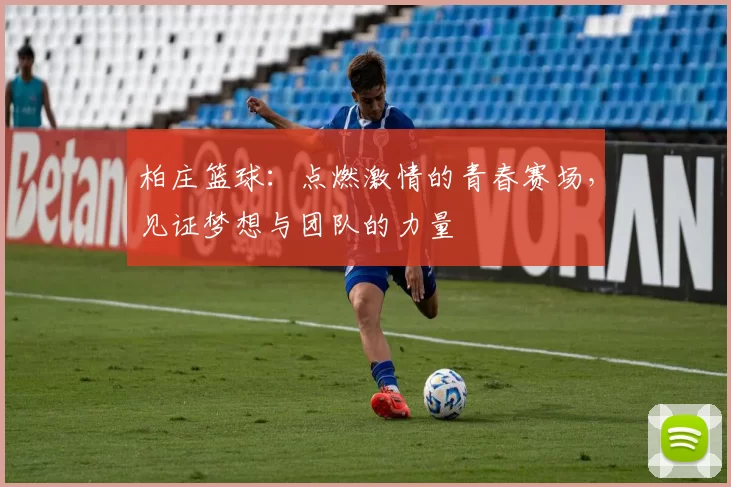 柏庄篮球：点燃激情的青春赛场，见证梦想与团队的力量