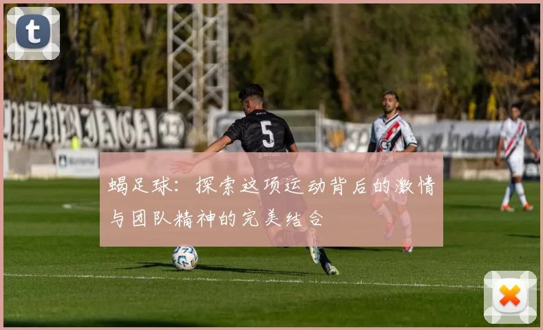 蝎足球：探索这项运动背后的激情与团队精神的完美结合