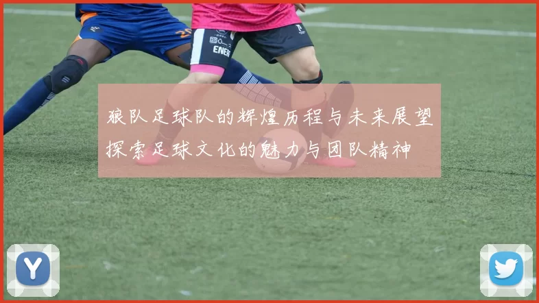 狼队足球队的辉煌历程与未来展望探索足球文化的魅力与团队精神